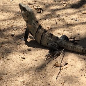 Meet your Posher, Xandra